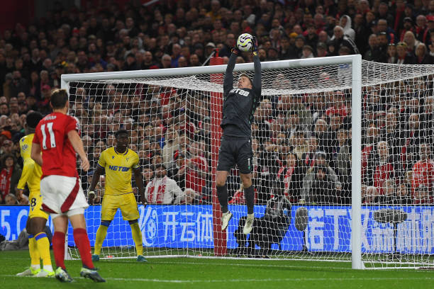 他们的未来 他们的未来